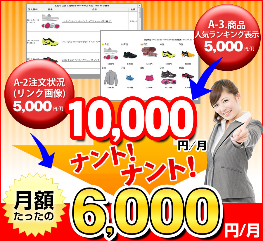 Yahoo!ショッピング 注文状況・ランキング・商品レビューから２つ選んで月額6000円